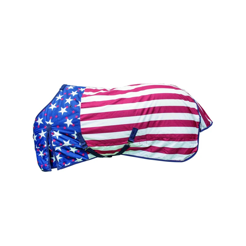 Outdoor wasserdichter USA-Flaggenteppich Modell Niagara