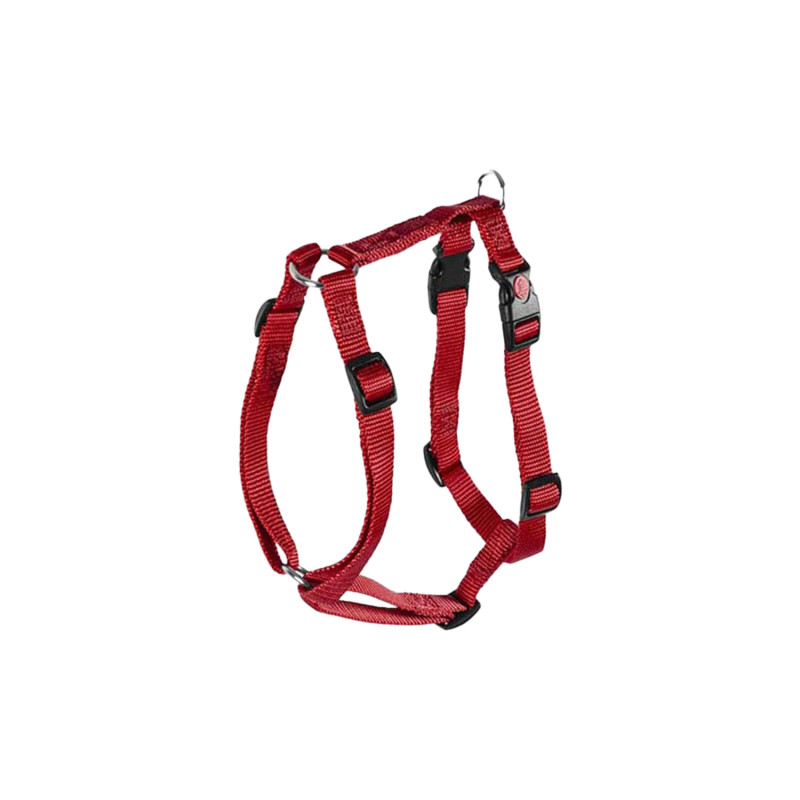 Pluto Model Harness