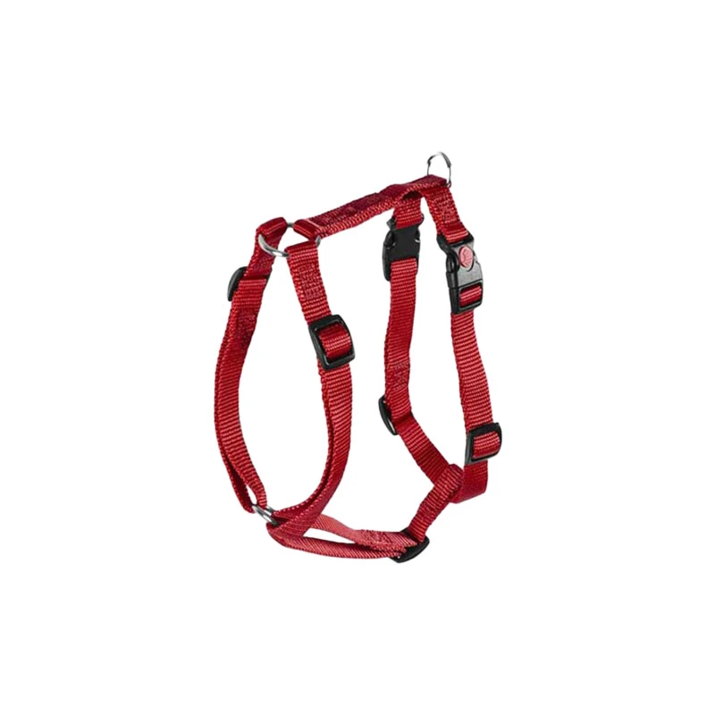PLUTO MODEL HARNESS