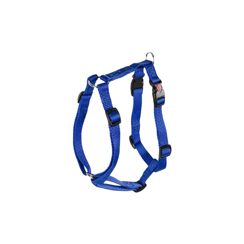 PLUTO MODEL HARNESS
