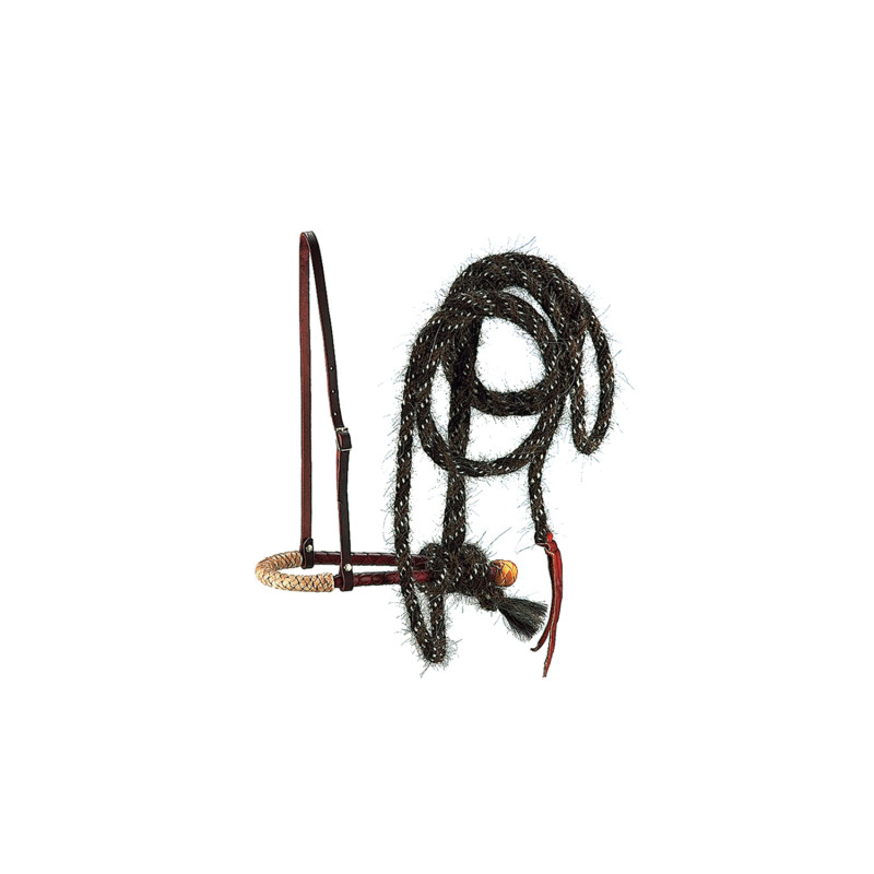 Pool'S Standard Bosal Set