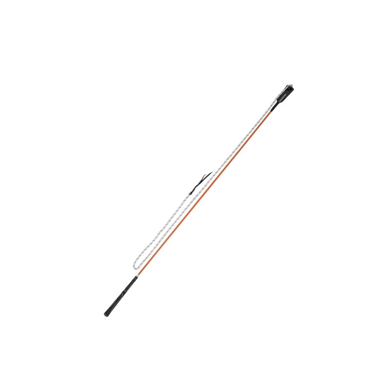 CARROT STICK 120