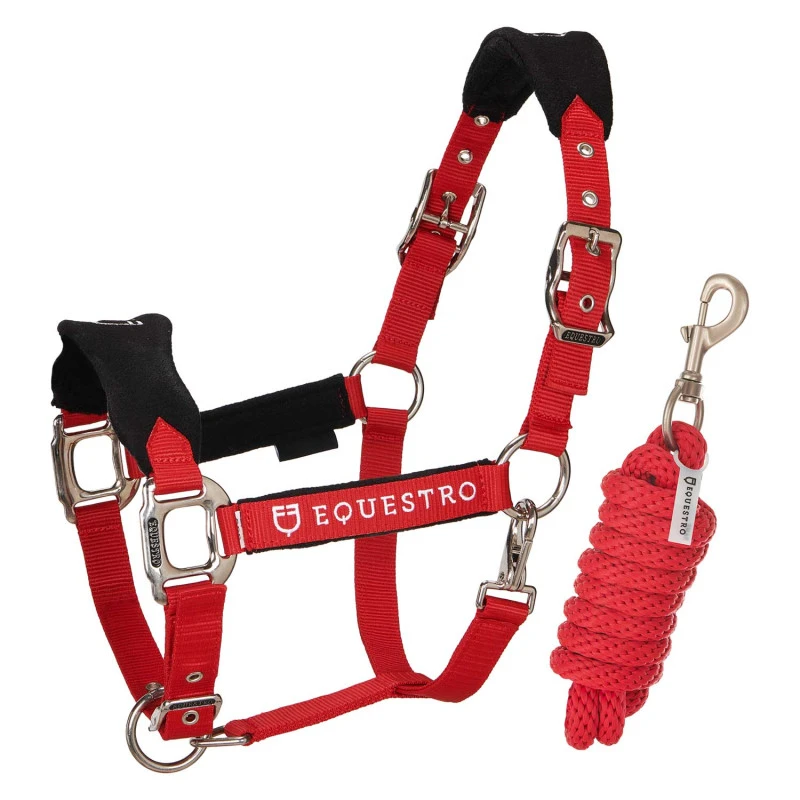 Halter with double adjustment and lead rope
