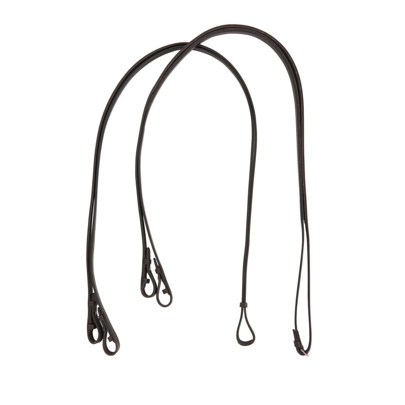Dressage leather double reins