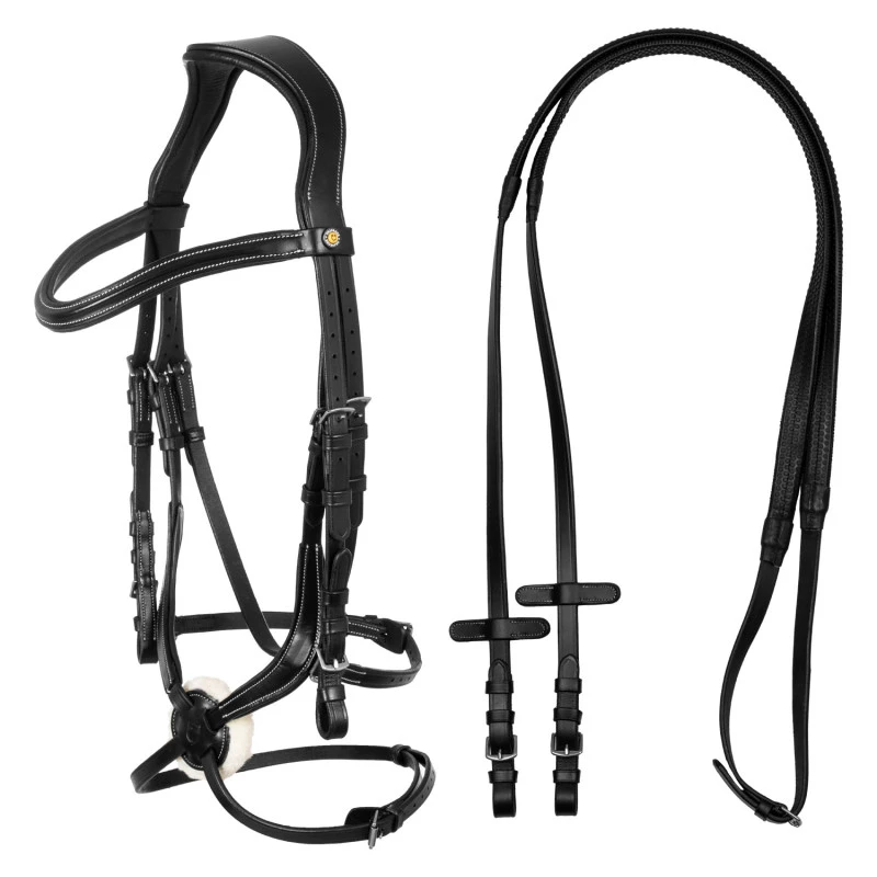Mexican leather bridle