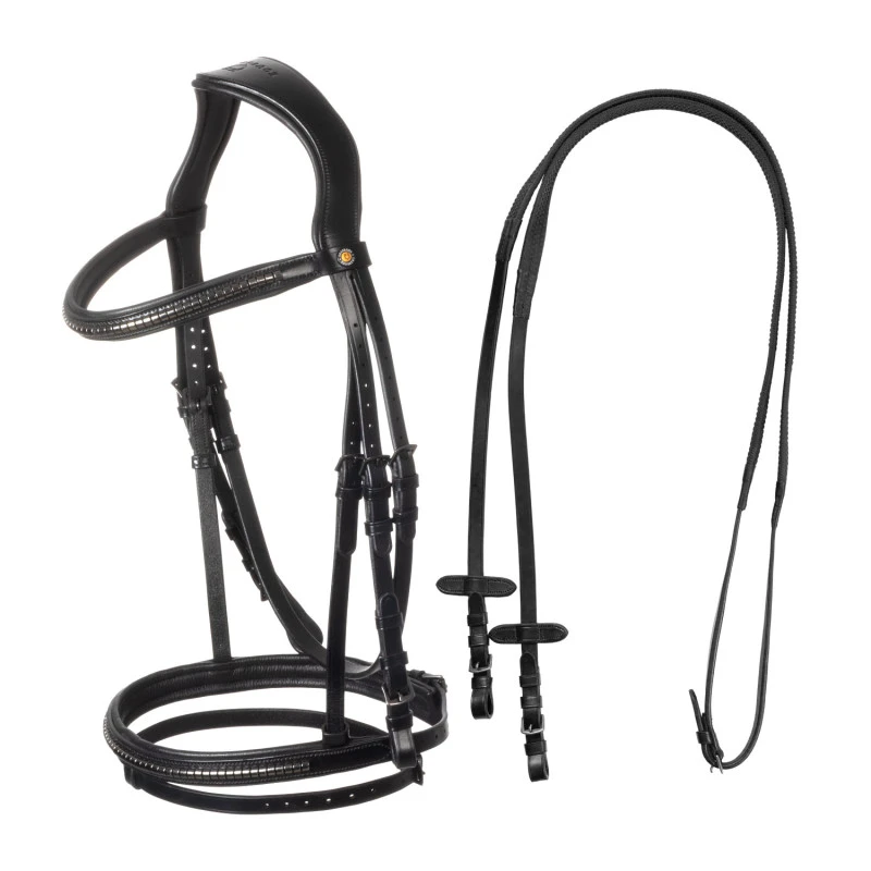 Leather bridle with black clincher
