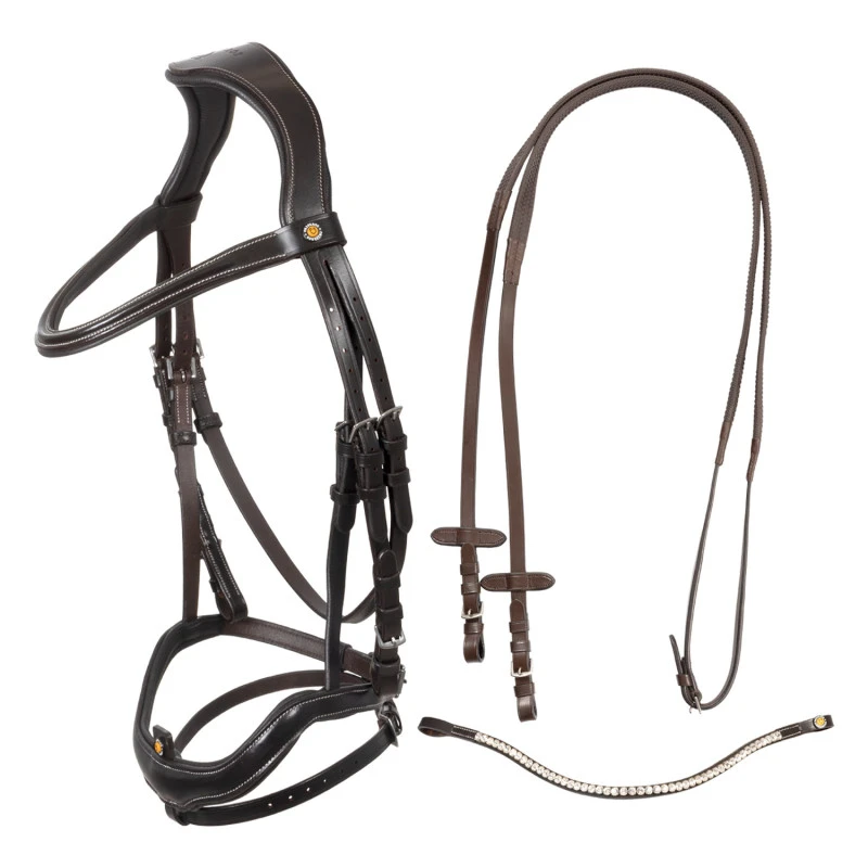 Anatomical bridle with curved noseband