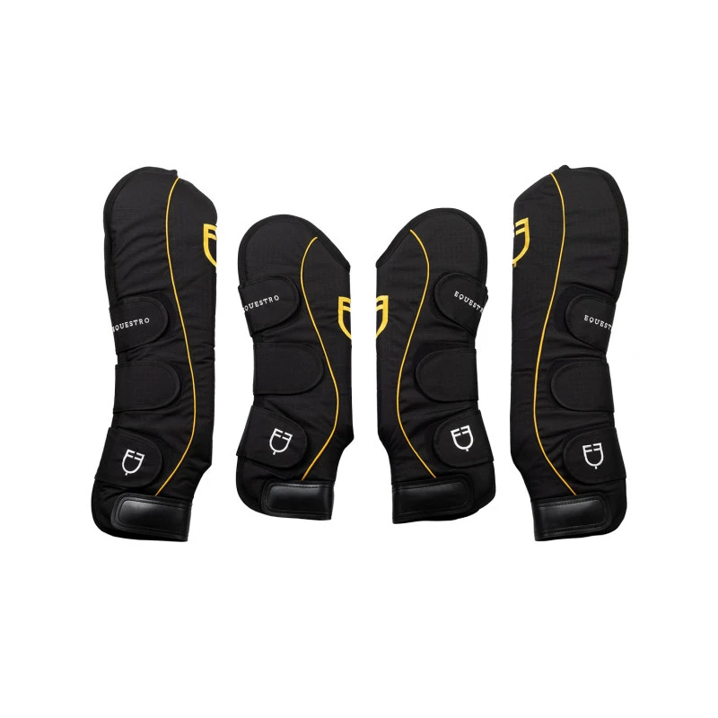 Protections de voyage Pro Traveller