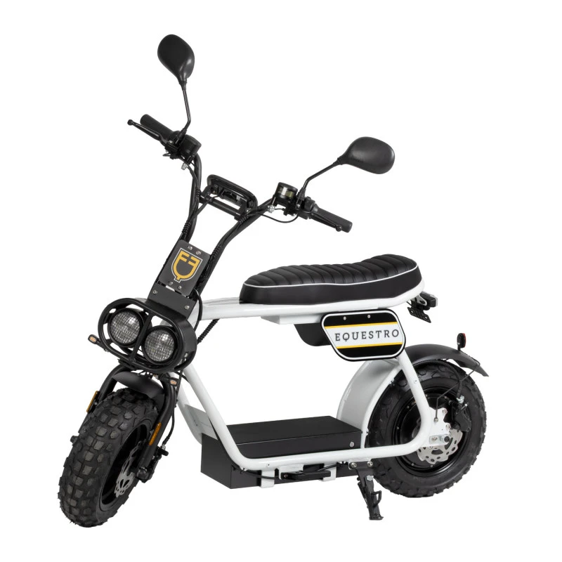 Elektryczna minimoto 1000W