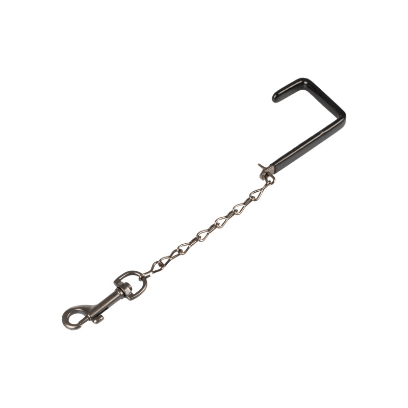 Hook with chain