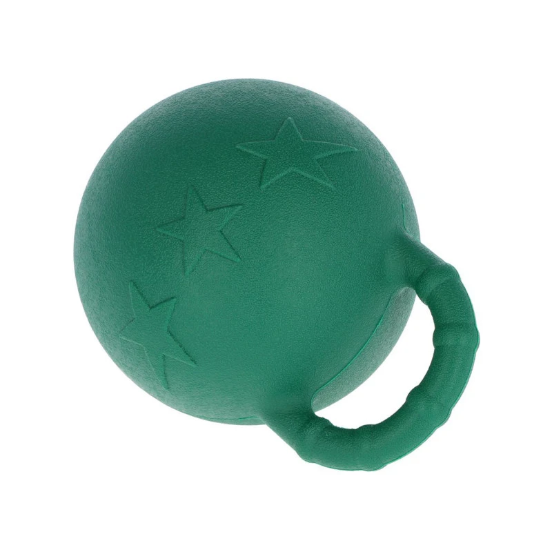 Pferd spielt Ball