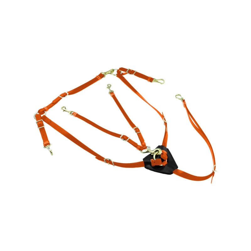 BIOTHANE BREASTPLATE WITH MARTINGALE