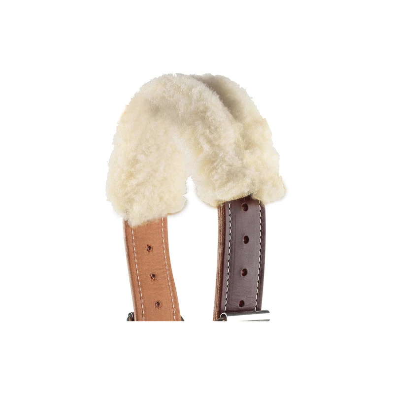 Abnehmbare Abdeckung für das Dare Cribbing Control Collar