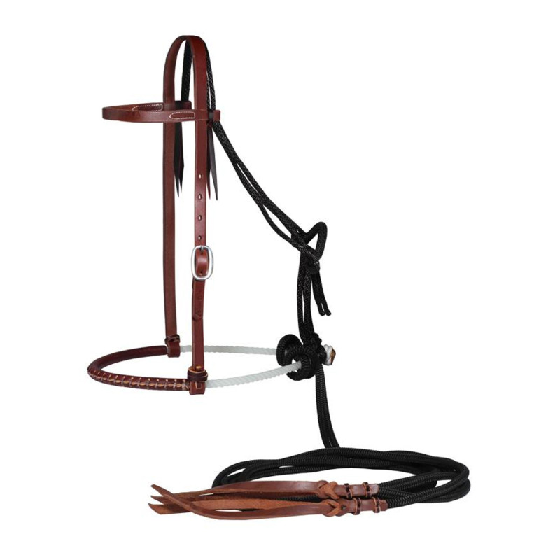 Ranch Jr Horse Horse Loping Hackamore