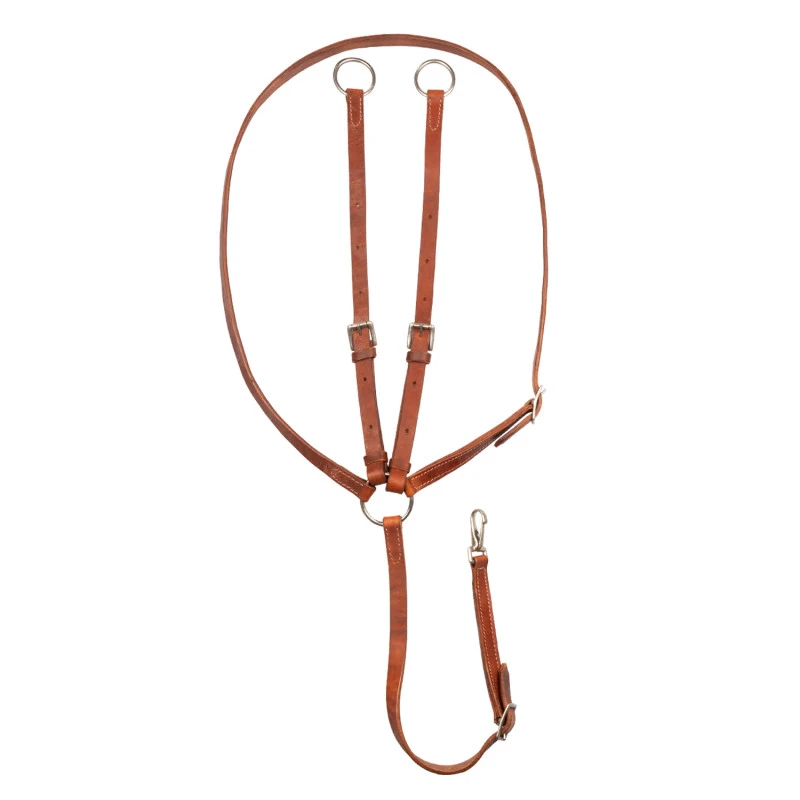 Martingal-Fettlederhalsband für Pool