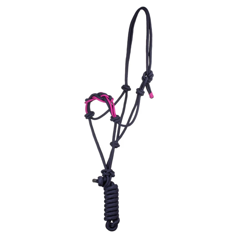 Halter with braided rope on the nose