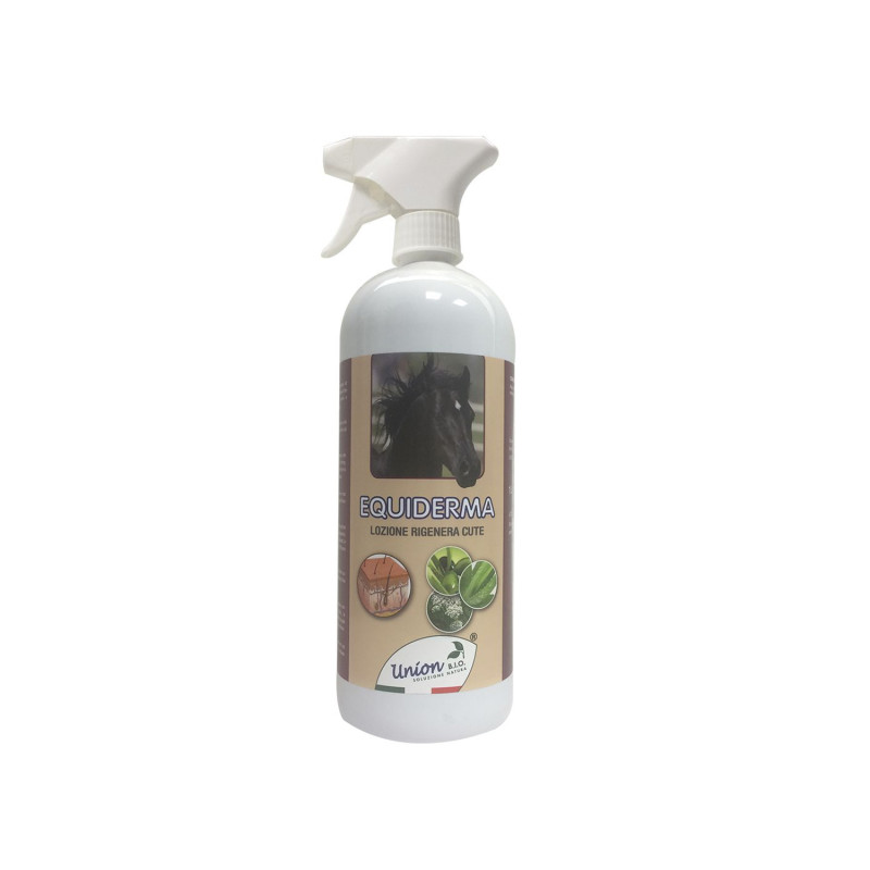 Equiderma (1 Lt)
