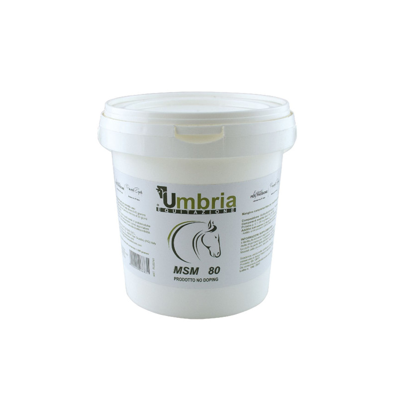 Msm (1.2 Kg)