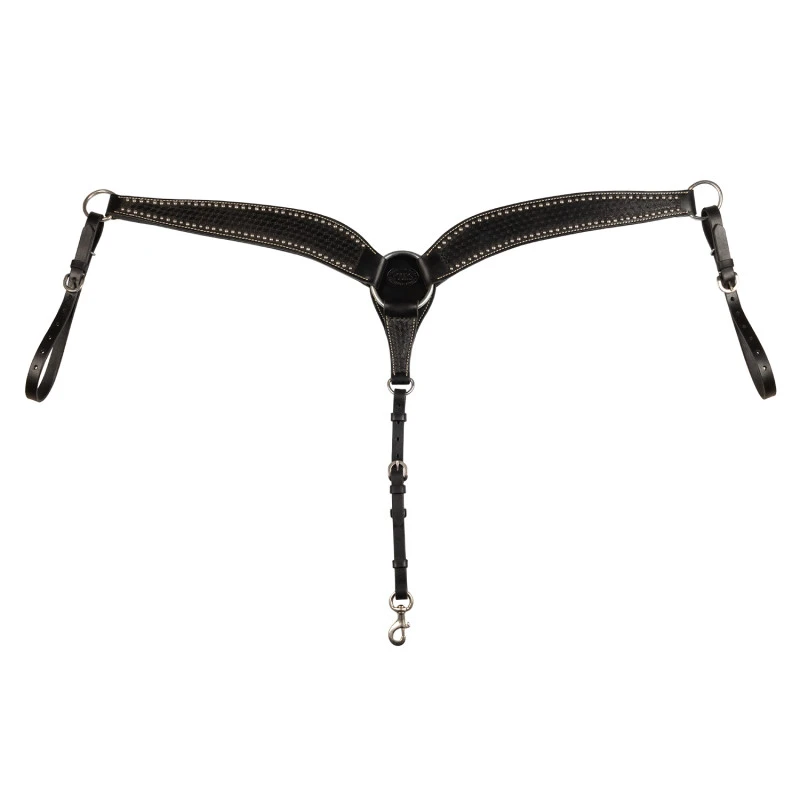 Peitoral basket/spots com pool's