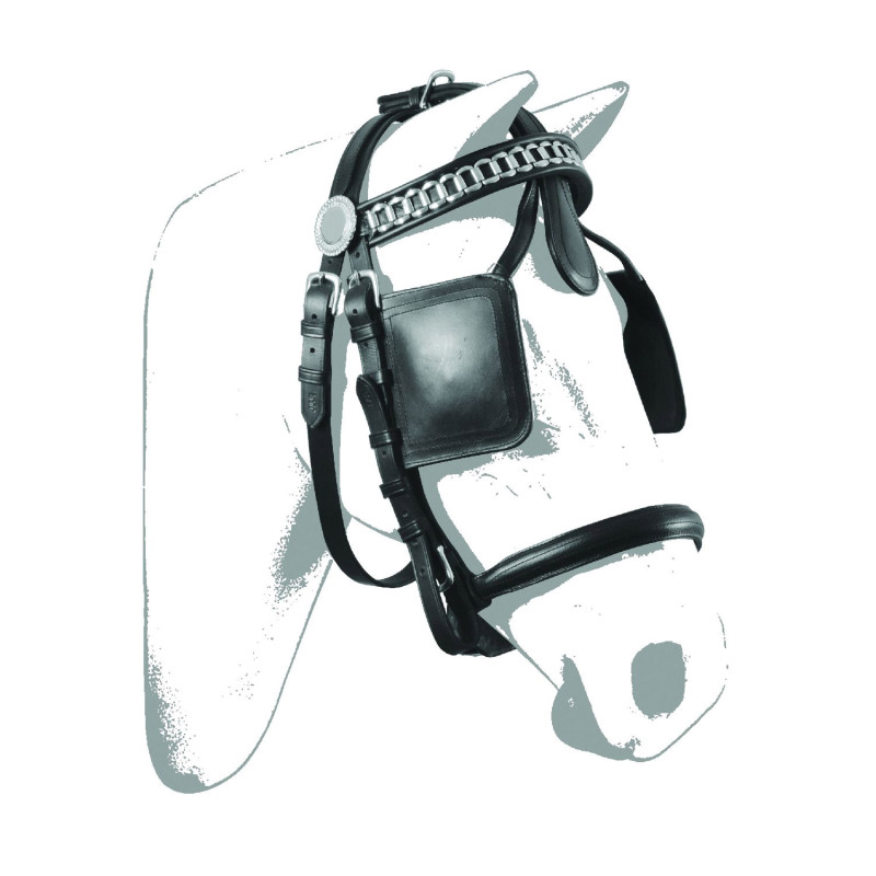 Luxury Bridle For Harness