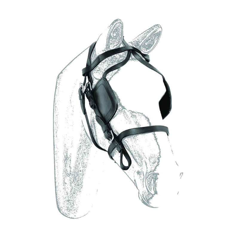 Bridle For Harness