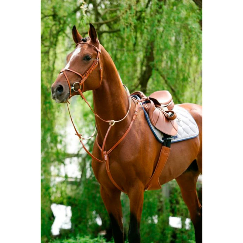 BREASTPLATE WITH RUNNING ATTACHMENT
