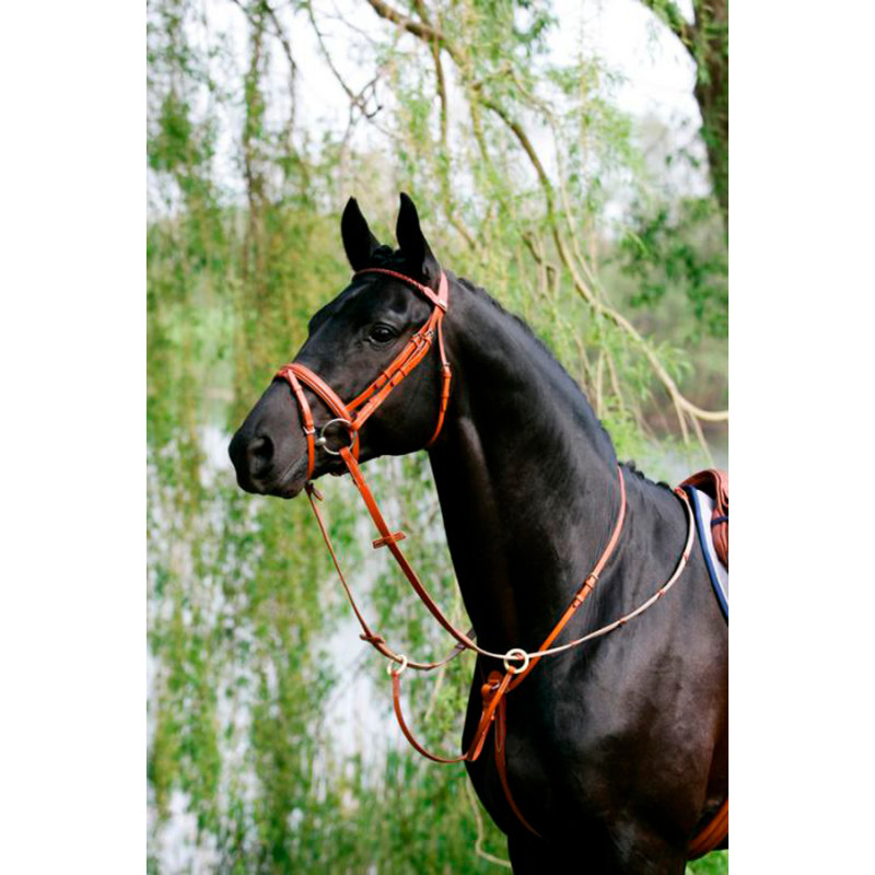 Ring Martingale