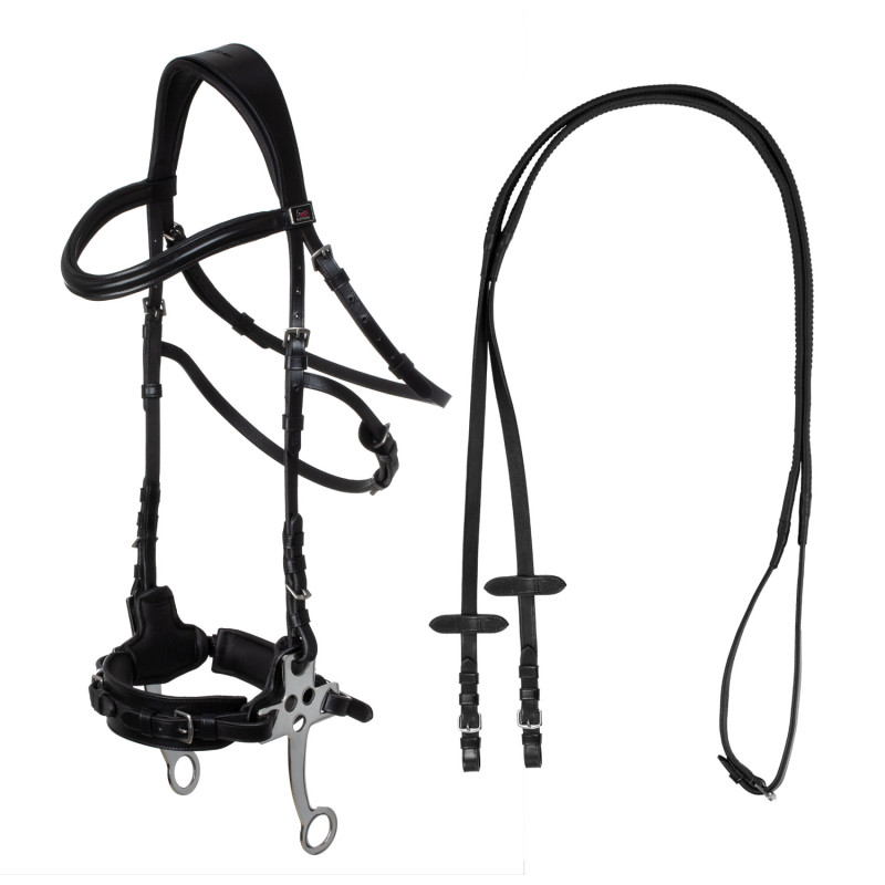 Hackamore bridle