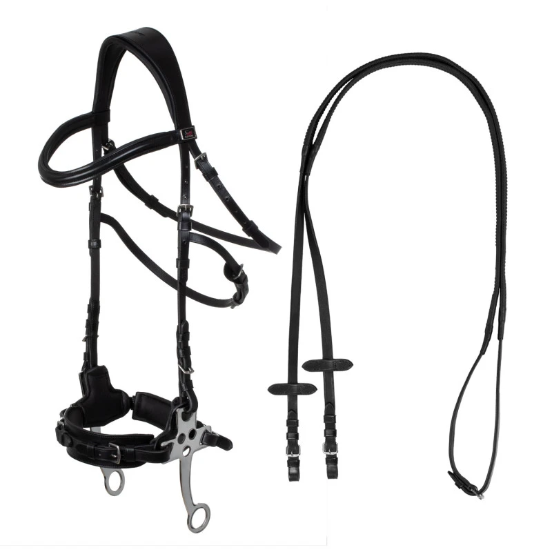 Brida con hackamore