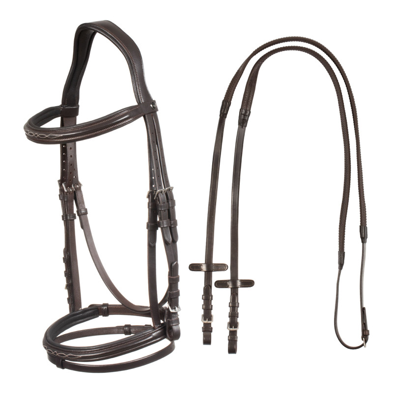Raised bridle with decorative embroidery