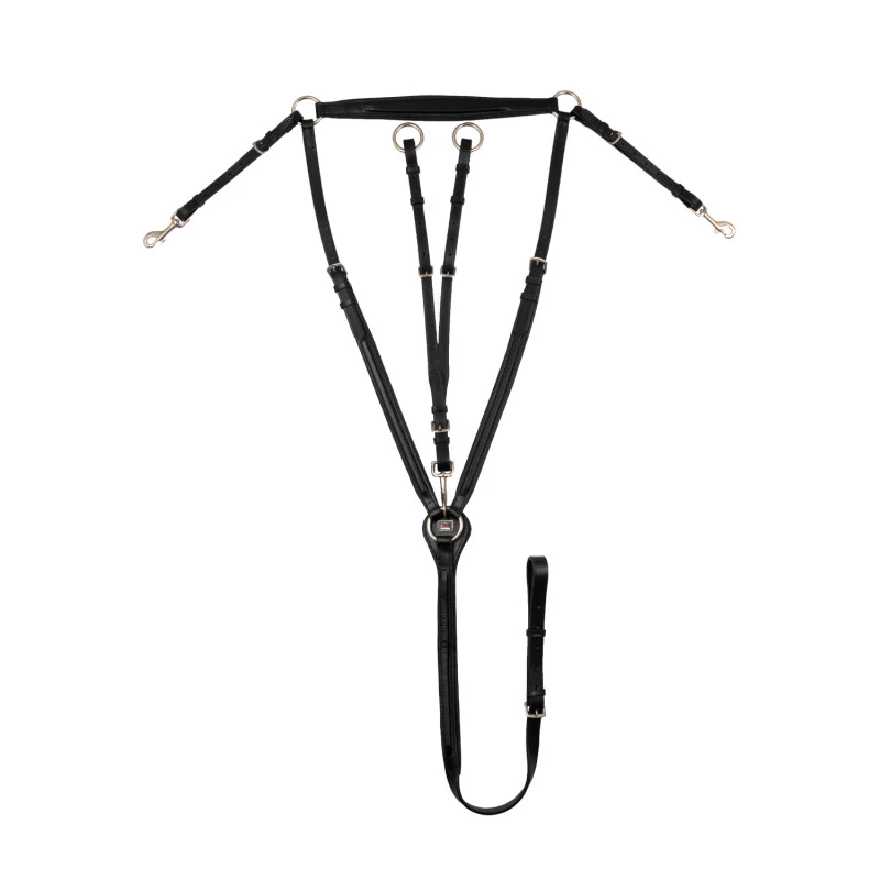 Padded breastplate with removable martingale