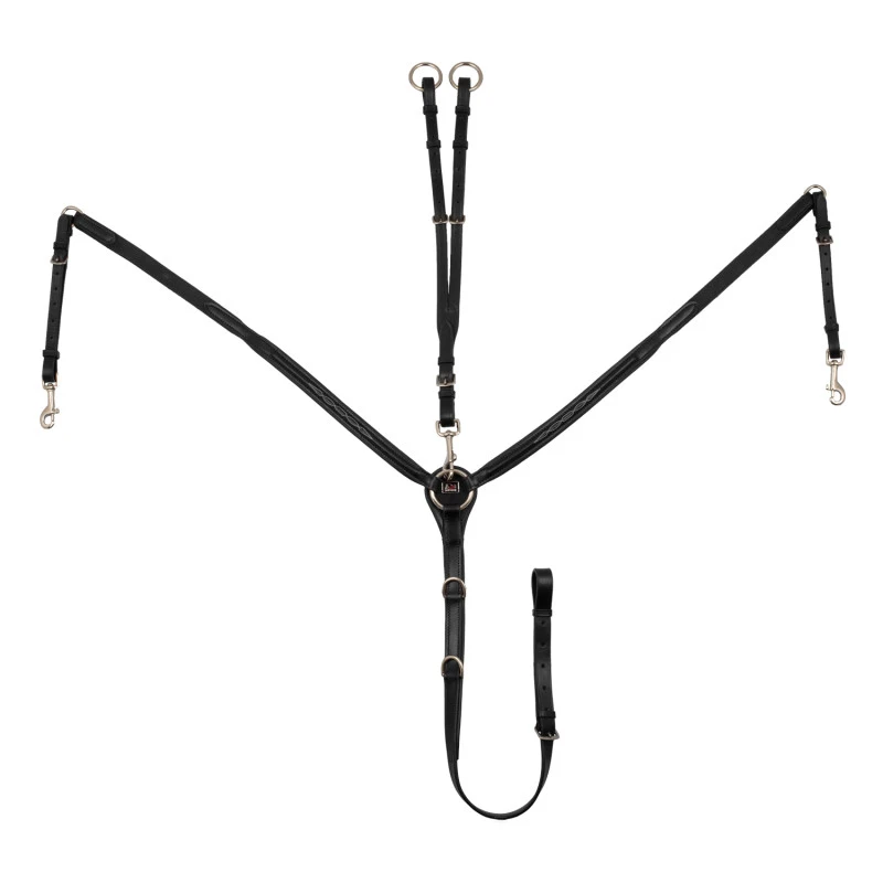 Contrast decorated breastplate