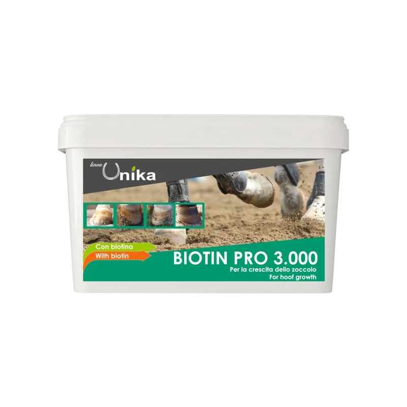 Biotina pro 3000 (1 kg)