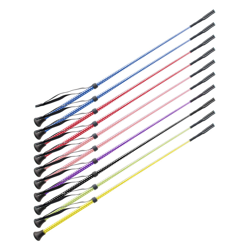 Set Of 10 Pcs Bicolor Whips
