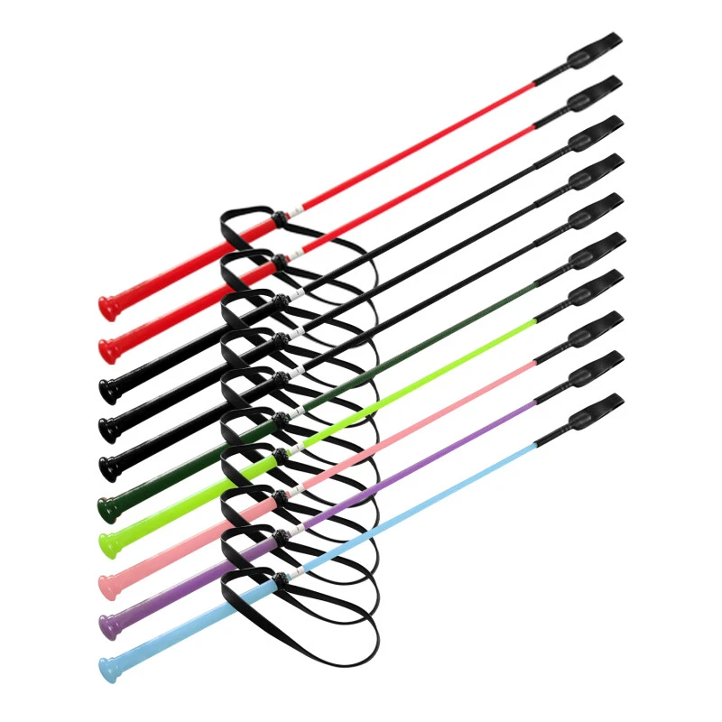 SET OF 10 PCS SHINY WHIPS