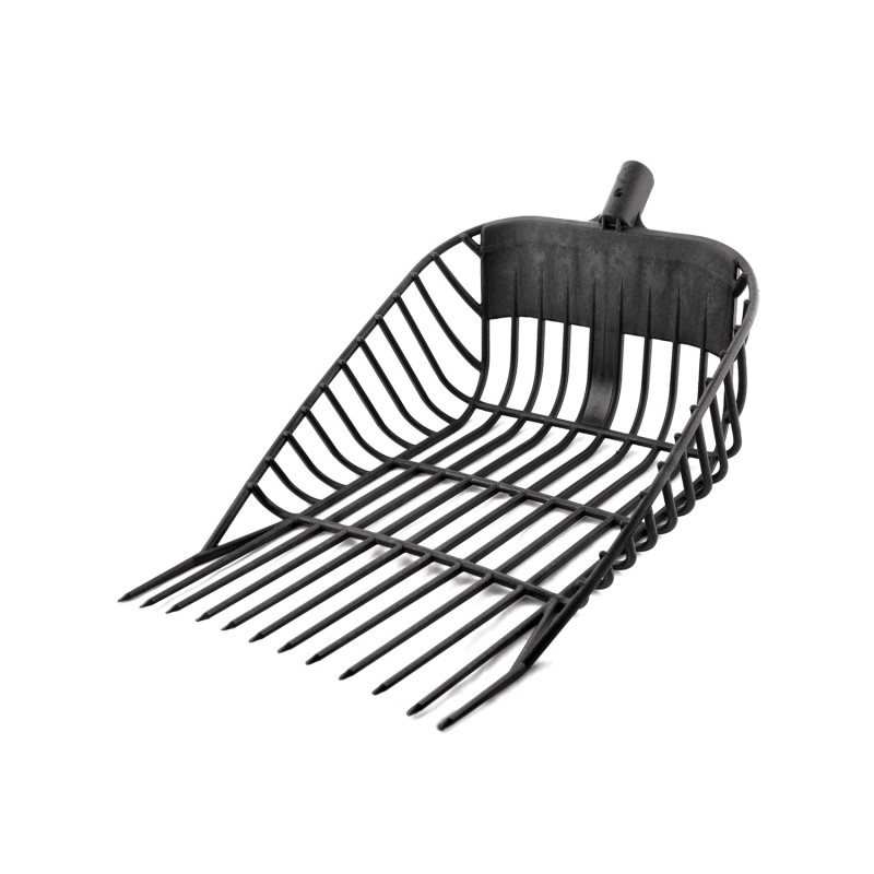 Pegus Fork