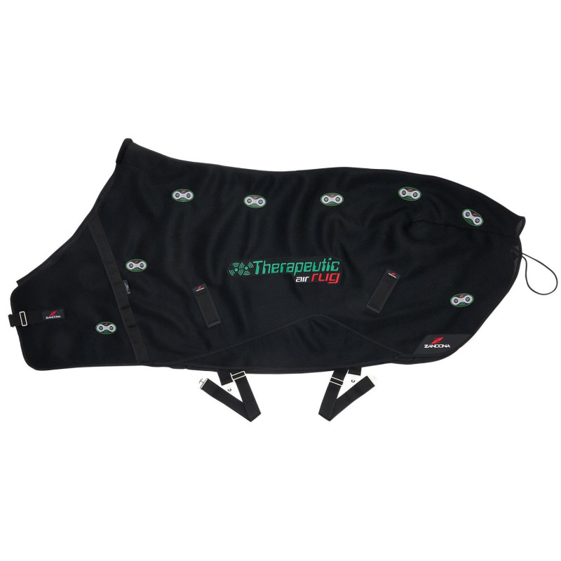 Therapeutic Air Rug