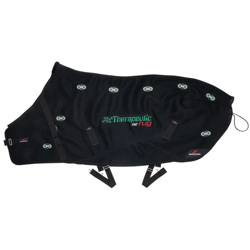 THERAPEUTIC AIR RUG